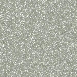 66M02 SYMPHONY SAGE MATT ไม่มีค่า R RAN2 60X60 CM