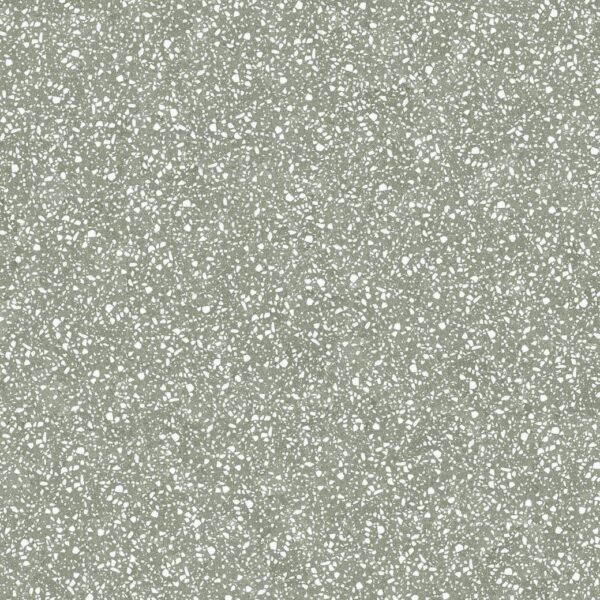 66M02 SYMPHONY SAGE MATT ไม่มีค่า R RAN2 60X60 CM