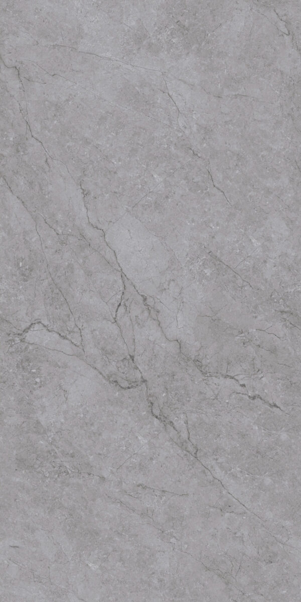 D1295FERRERO REY POLISHED RAN6 60X120 CM