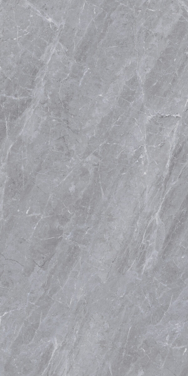 D3-T1232 GUSTRA GREY POLISHED RAN4 60X120 CM