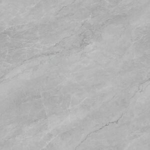 D832 ADEL GREY POLISHED RAN12 80X80 CM