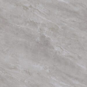 D892 RHINE GREY POLISHED RAN12 80X80 CM