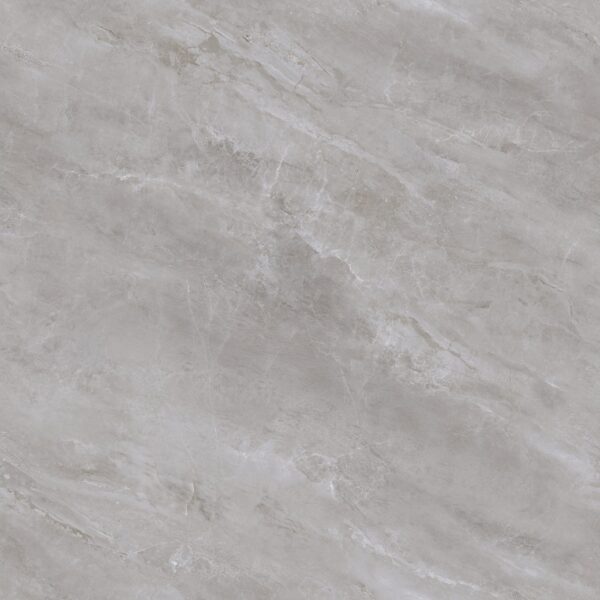 D892 RHINE GREY POLISHED RAN12 80X80 CM