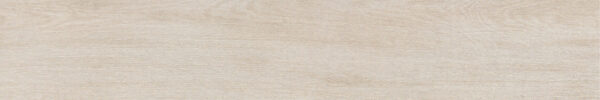 DW212095 DARWIN ASH MATT R9 RAN12 20X120 CM