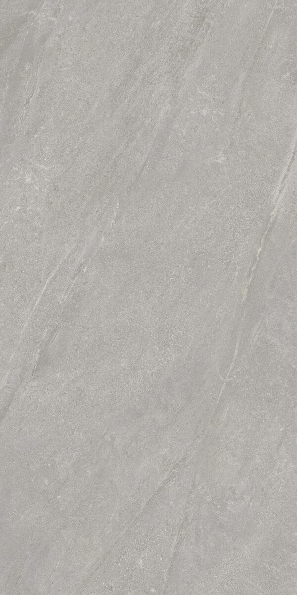 EFM126H221A ASPEN PEAK GREY MATT R9 RAN2 60X120 CM