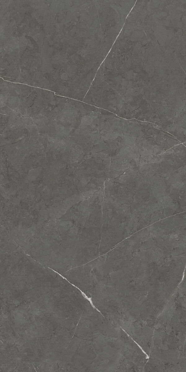 EQ126P028A NORDIC NERO DARK GREY POLISHED RAN3 60X120 CM