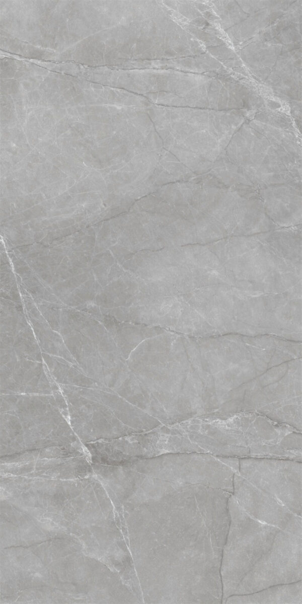 EQ126P031A NORDIC GREY GREY POLISHED RAN2 60X120 CM