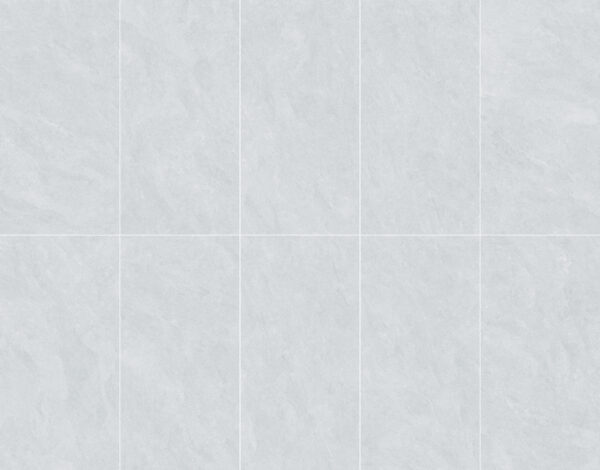 FL612SP01RG SONDRIO BIANCO MOULD+MATT RAN10 60X120 CM