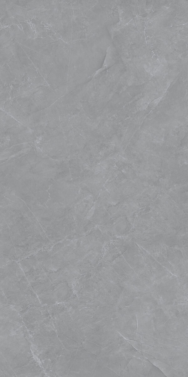 H1210 DESERT GREY GREY POLISHED RAN4 60X120 CM