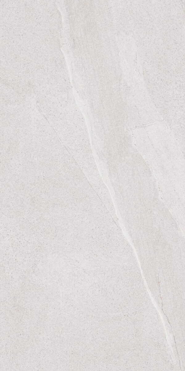 PA12671W PALOMA WHITE MATT R9 RAN5 60X120 CM