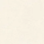 BM60LM11M PIETRA CREAM MATT R10 RAN14 60X60 CM