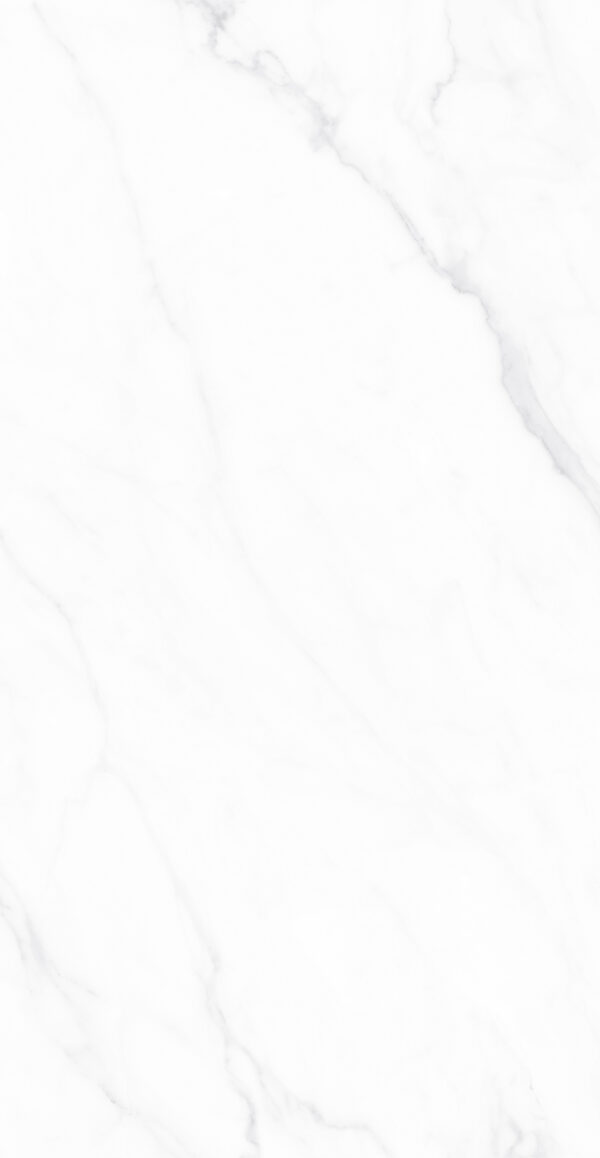 QN-126H820B ELIZABETH WHITE WHITE HONED RAN10 60X120 CM