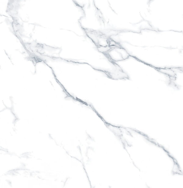 SDFN6634 CALACATTA NEVE WHITE MATT RAN8 60X60 CM