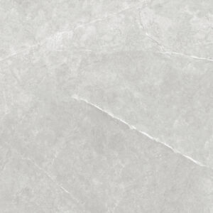 SDFN6770 VENUS LIGHT GREY MATT RAN8 60X60 CM