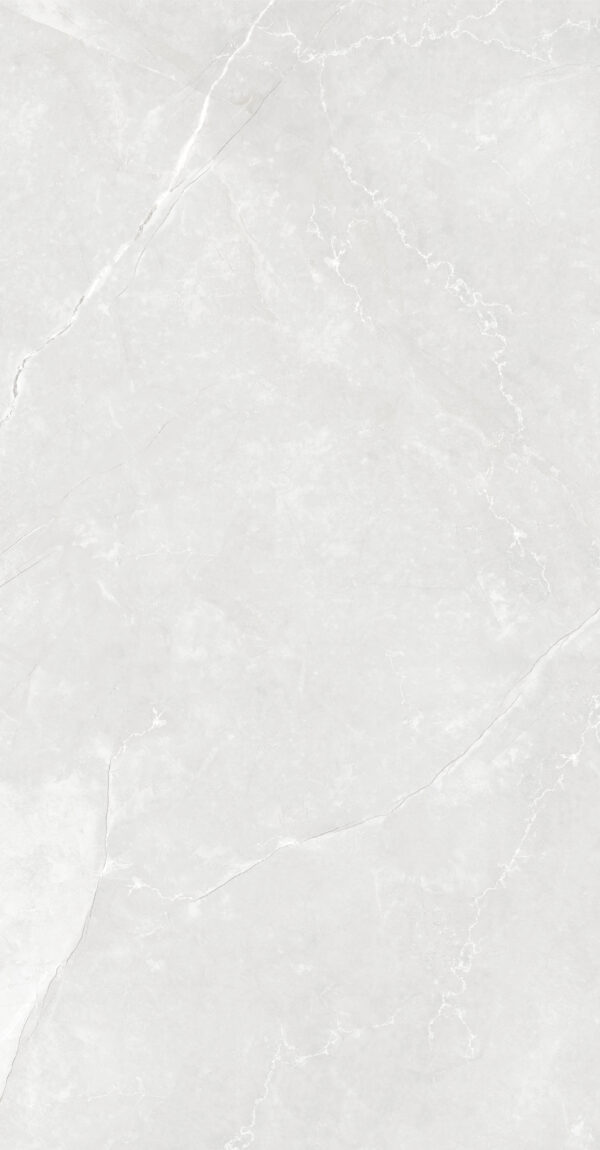 SDM126760P LUNA ICE LIGHT GREY POLISHED RAN6 60X120 CM