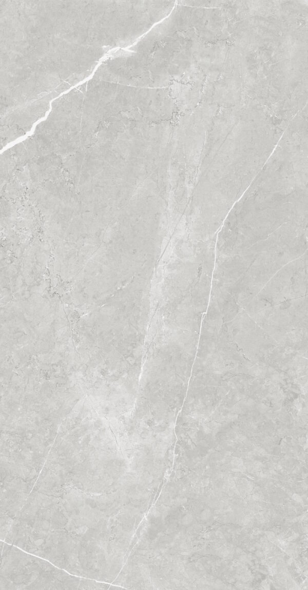 SDM126770M VENUS LIGHT GREY MATT RAN6 60X120 CM