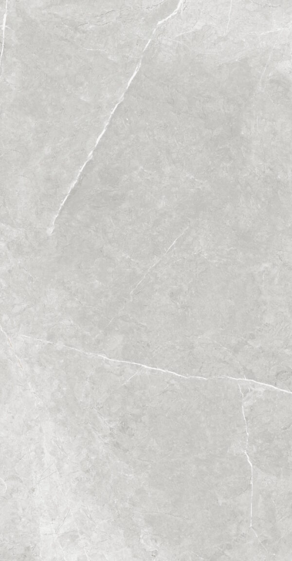 SDM126770P VENUS LIGHT GREY POLISHED RAN6 60X120 CM