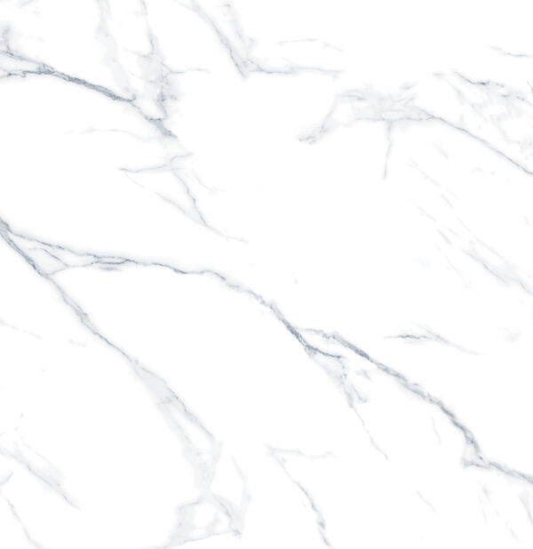 SDX6634P CALACATTA NEVE WHITE POLISHED RAN8 60X60 CM