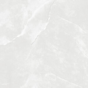SDX6760P LUNA ICE LIGHT GREY POLISHED RAN8 60X60 CM