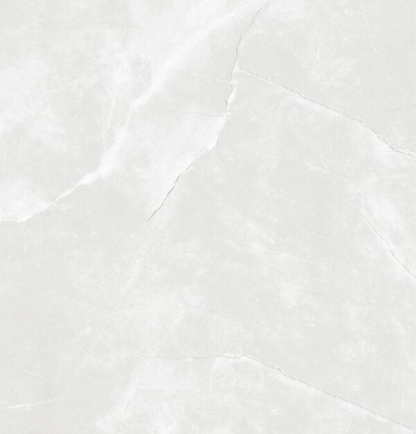 SDX6760P LUNA ICE LIGHT GREY POLISHED RAN8 60X60 CM
