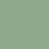 สีเขียว Green